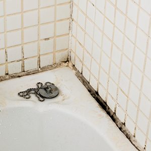 why showers leak