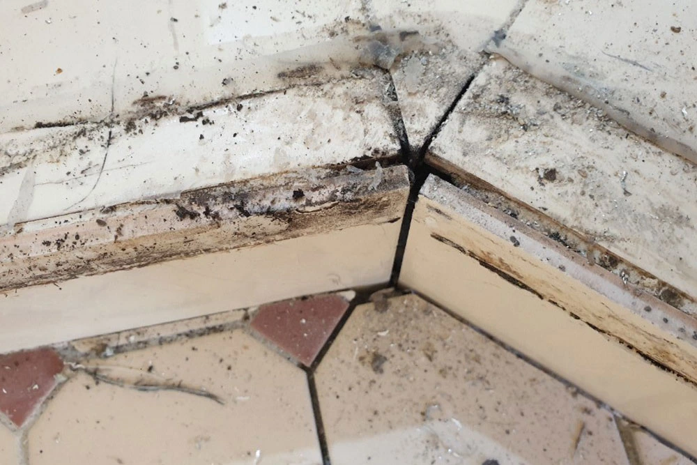 dilapidated shower screen with moulds