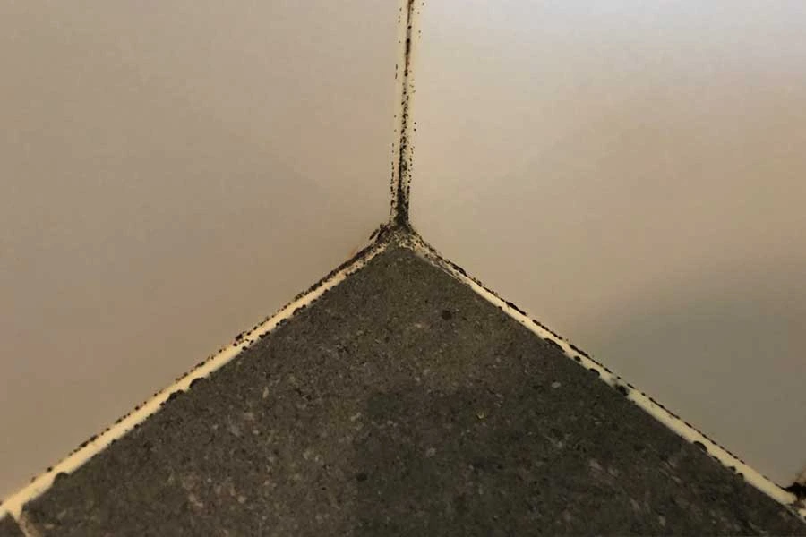 shower tiles with moulds