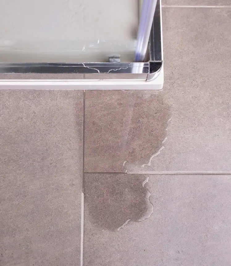 shower leak